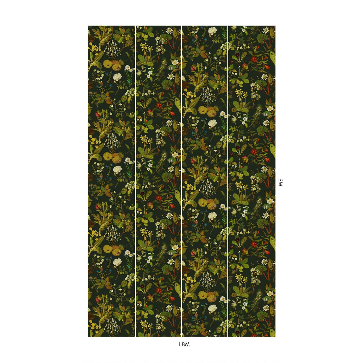 HERBARIUM Wallpaper - Forest Green-Spruce
