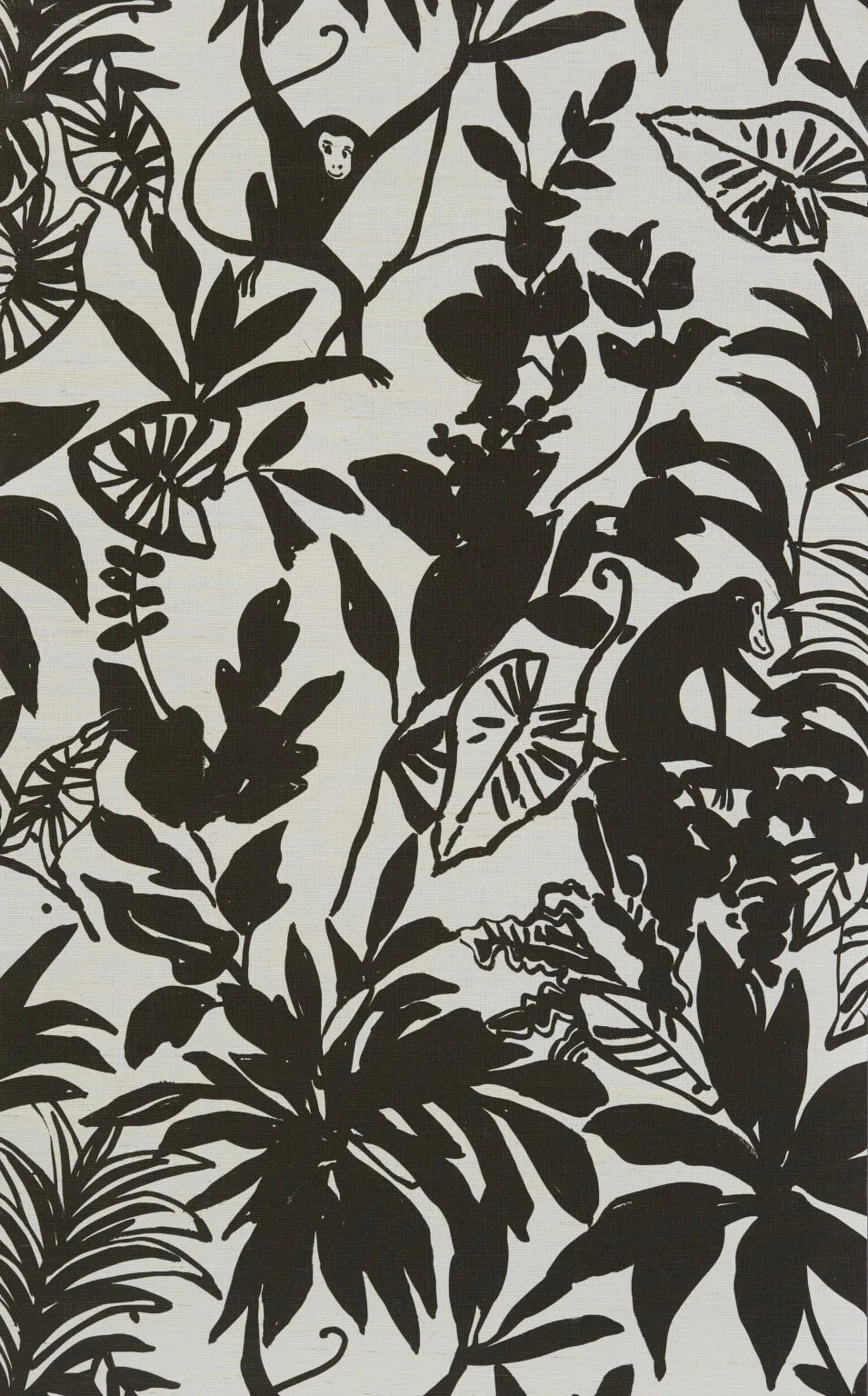 Happy monkey wallpaper in Noir