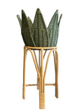 agave rattan plant stand