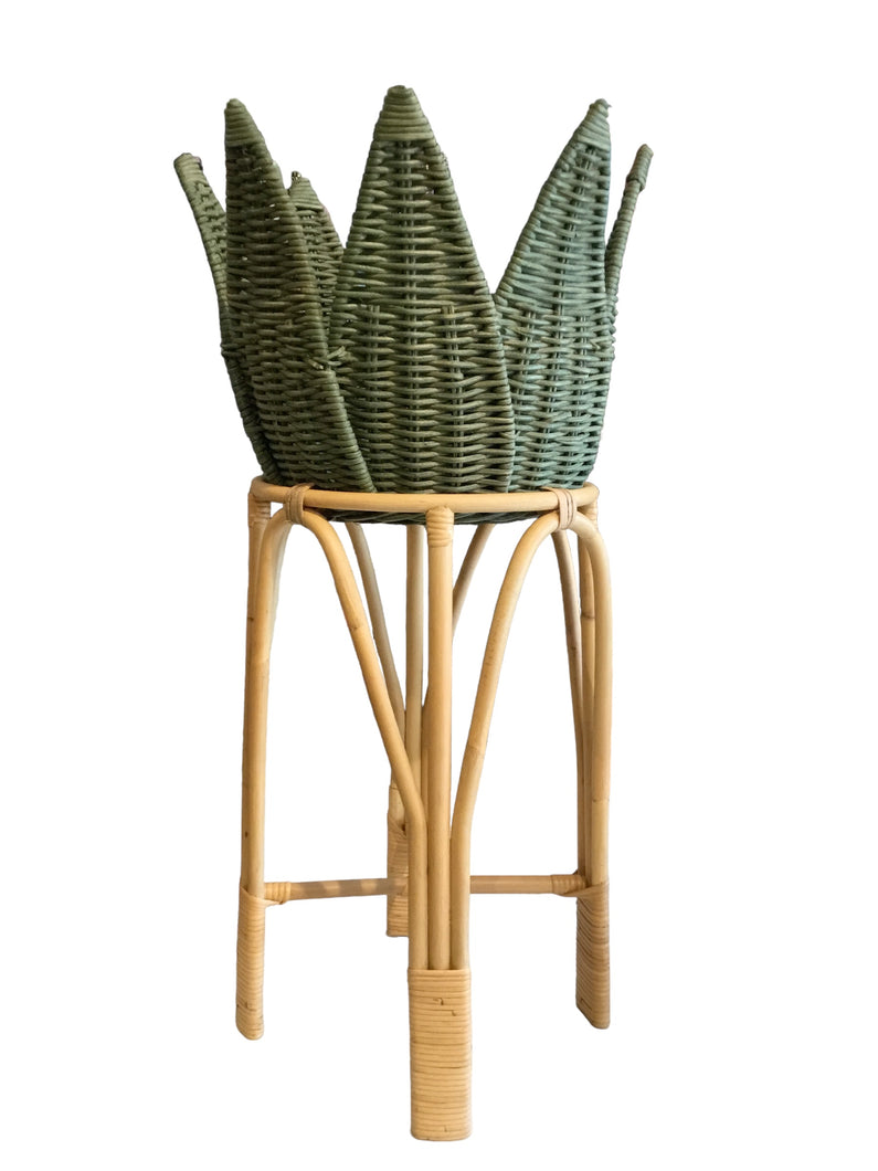 agave rattan plant stand