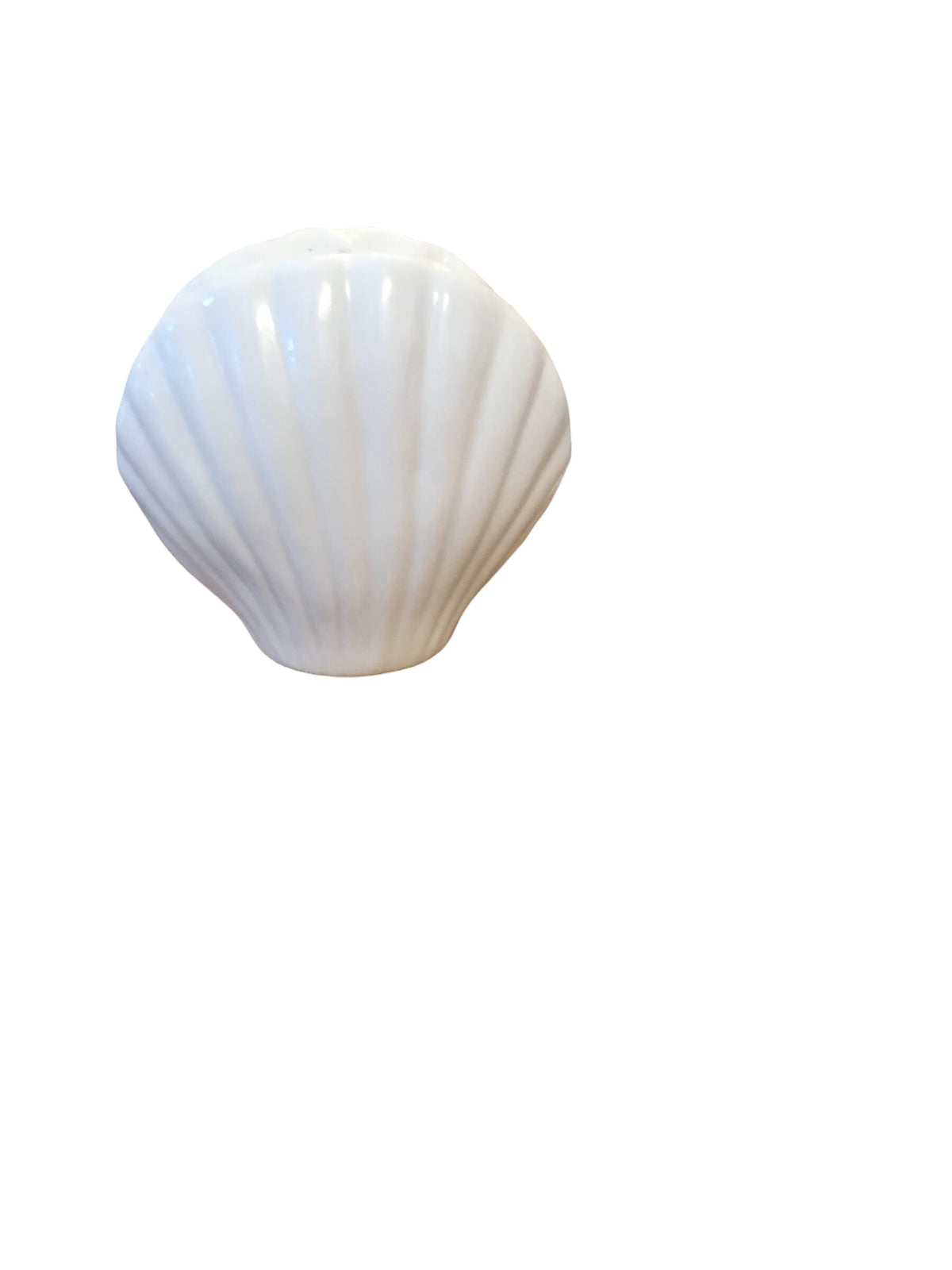shell bud vase