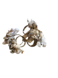 shell napkin rings set of 4
