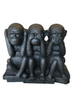 monkeys on books