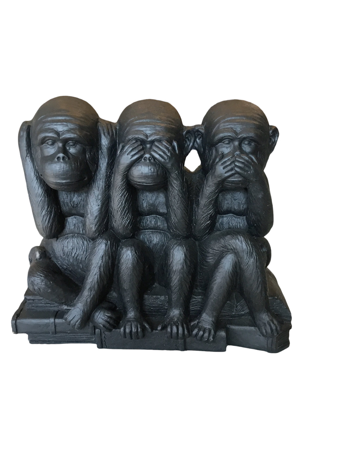 monkeys on books