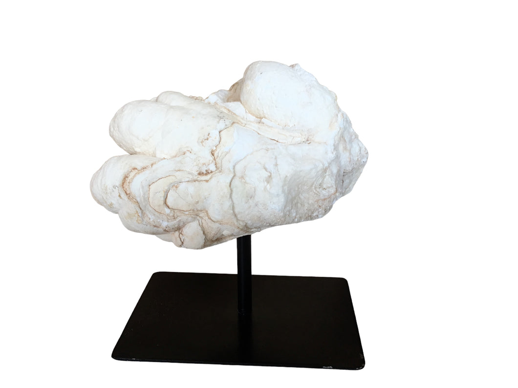 coral rock