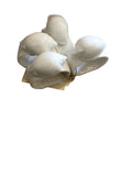 set of 4 shell napkin rings