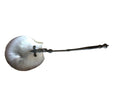 scallop shell spoon
