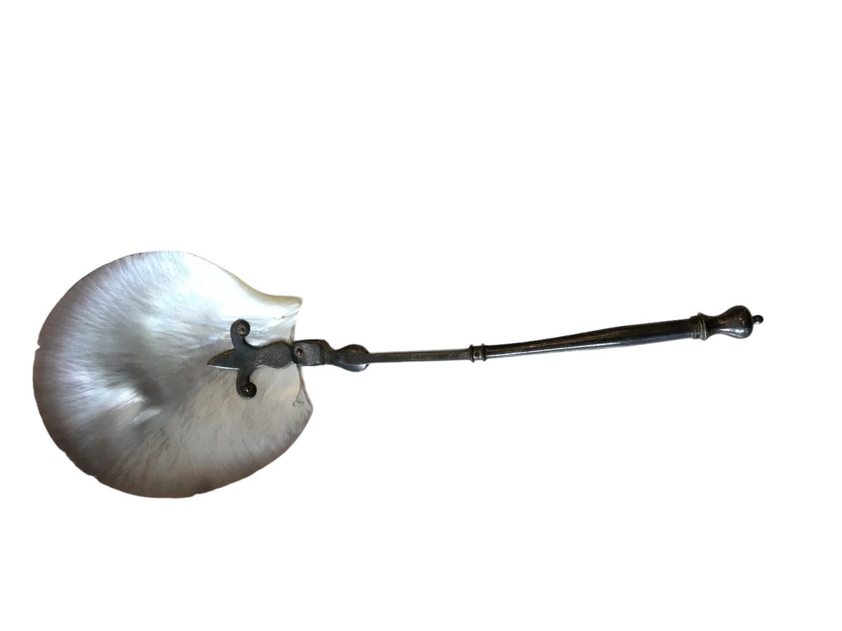 scallop shell spoon
