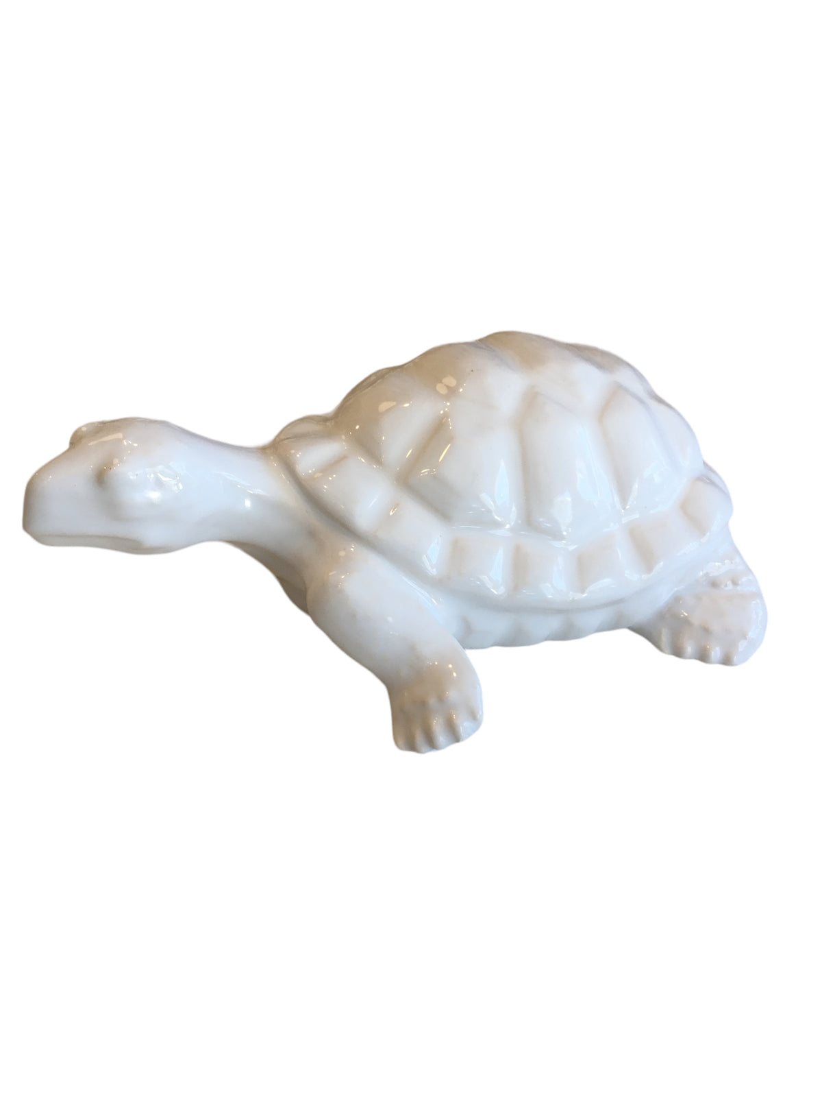 white porceline turtle