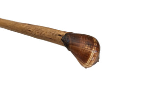 WALKING STICK WITH SHELL