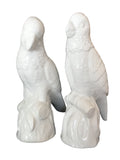 pair white ceramic parrots