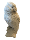 chalkware parakeet