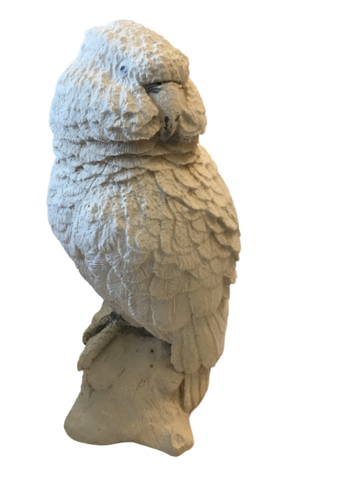 chalkware parakeet