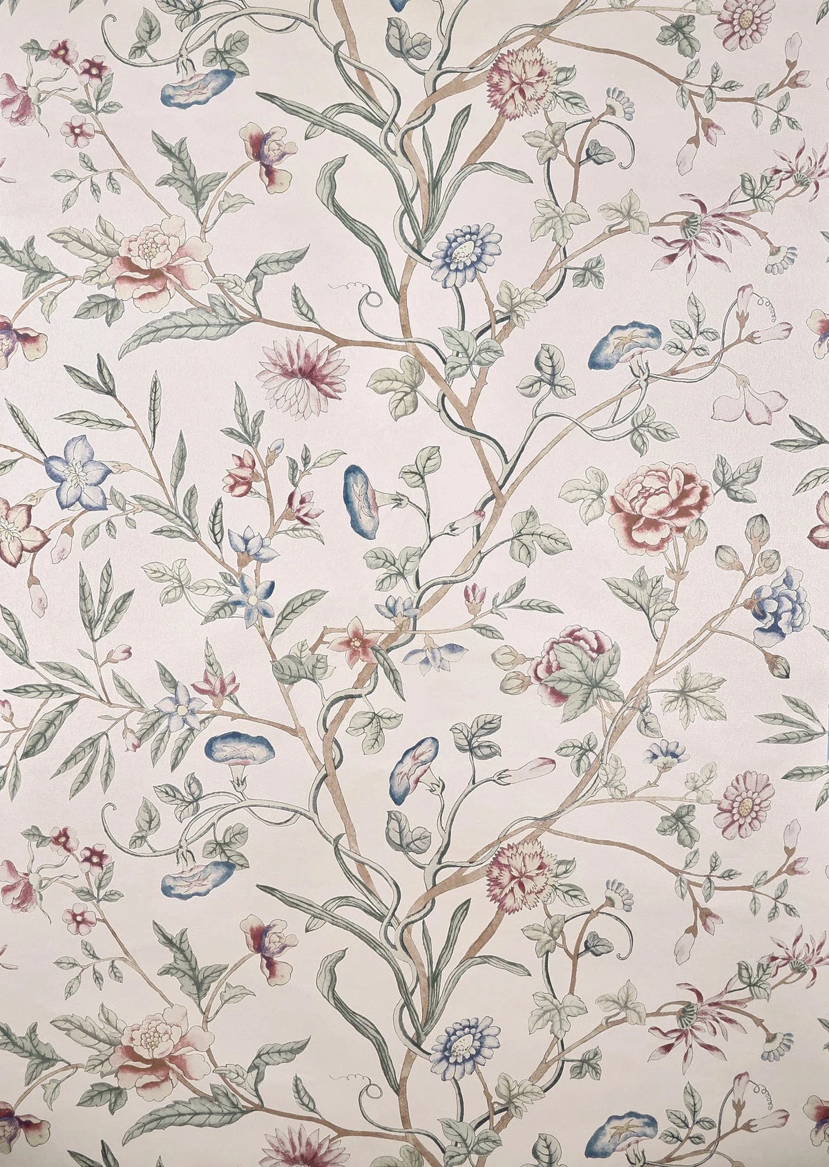 Sceaux nacre wallpaper in GLACIER