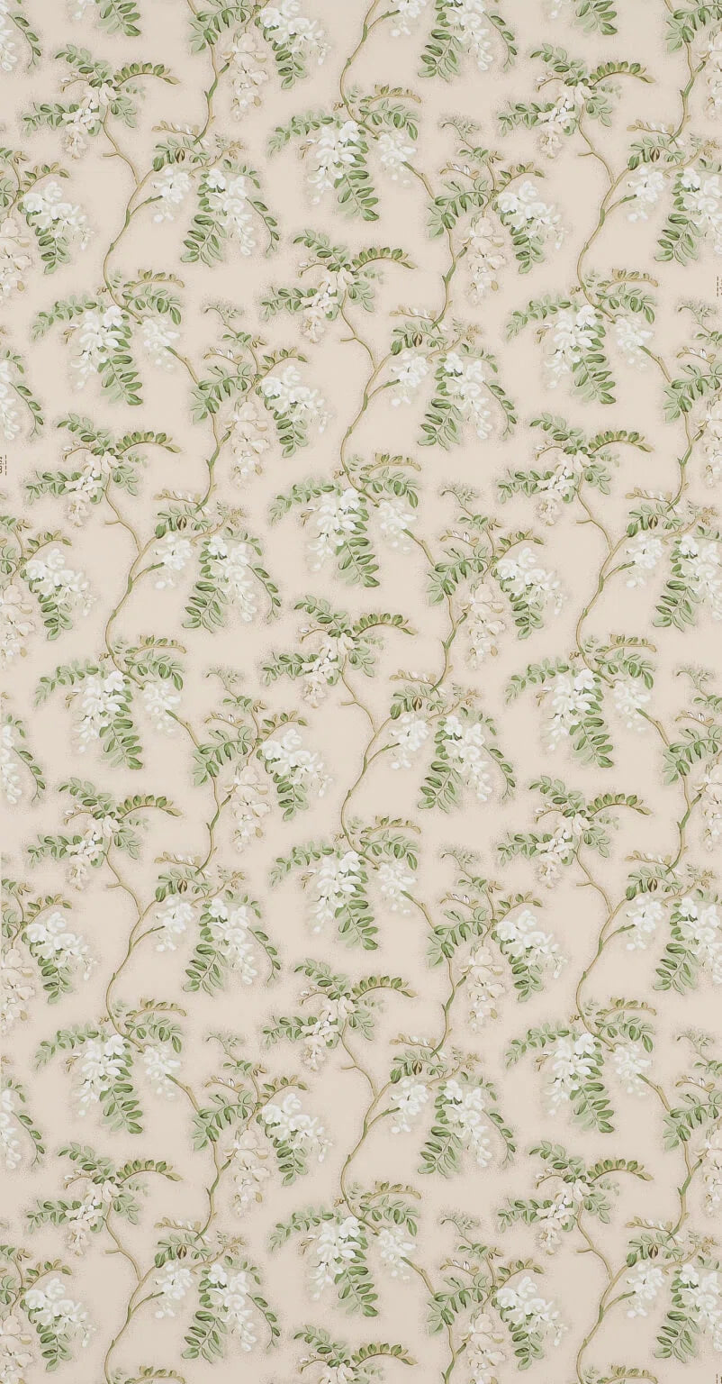 Wallpaper fleurs de mai wallpaper in Blanc