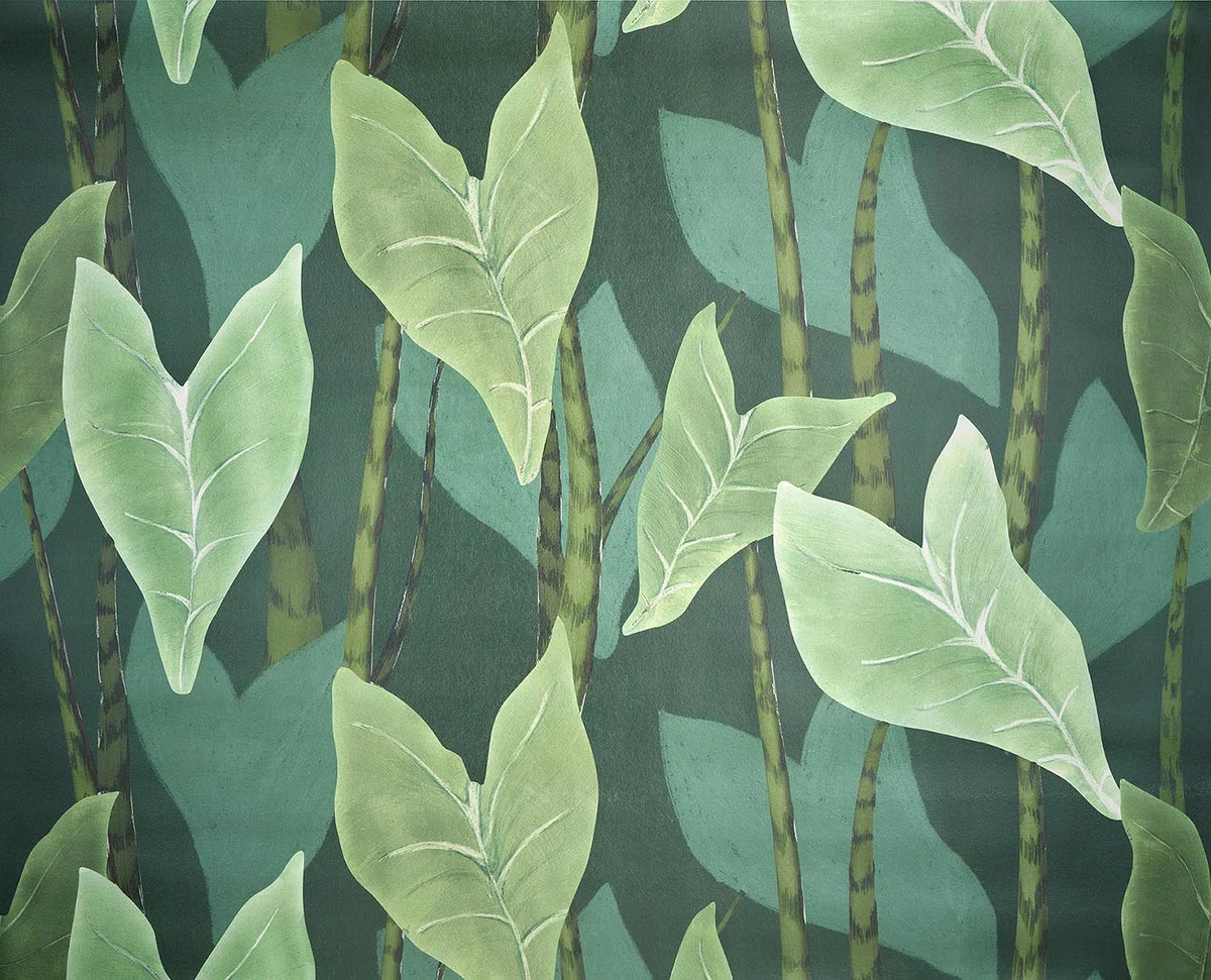 Monstera wallpaper in Jungle
