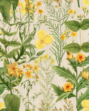 Load image into Gallery viewer, MIMULUS WALLPAPER