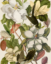 Load image into Gallery viewer, MAGNOLIA WALLPAPER