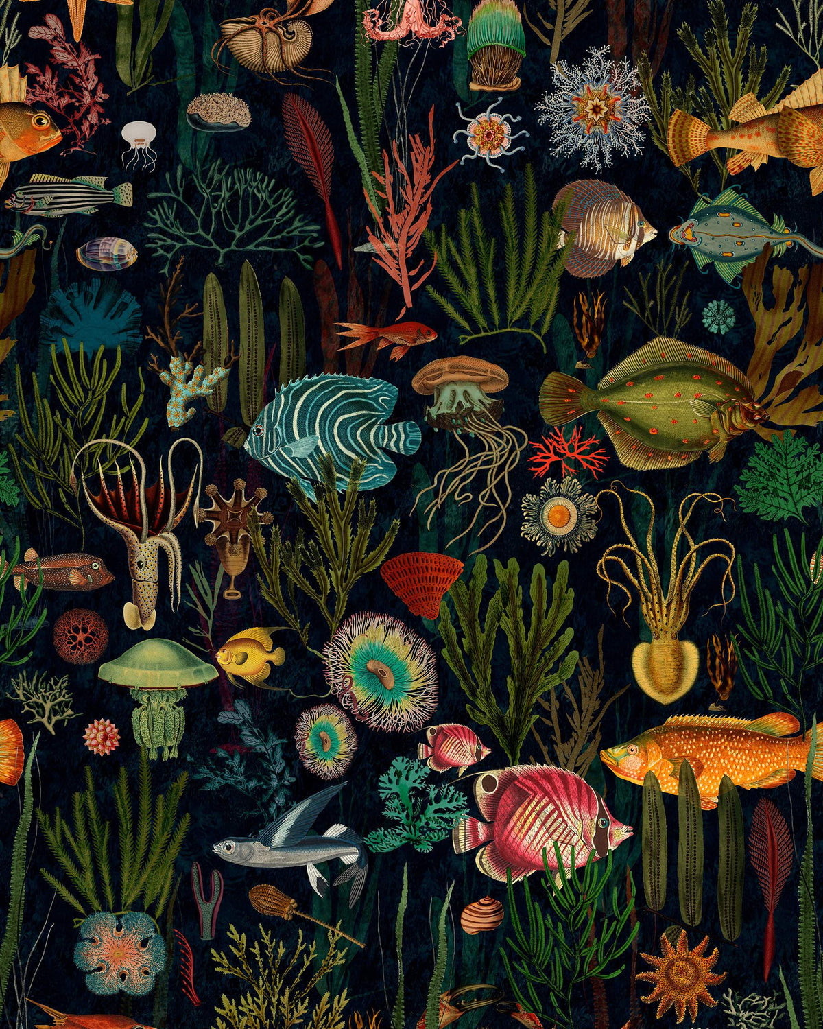 OCEANIA WALLPAPER