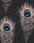 PEACKOCK WALLPAPER