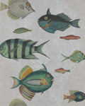 POISSONS WALLPAPER