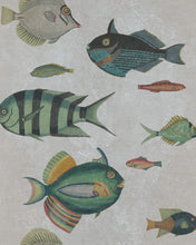 Load image into Gallery viewer, POISSONS WALLPAPER