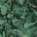 PAMPAS Wallpaper - Noir