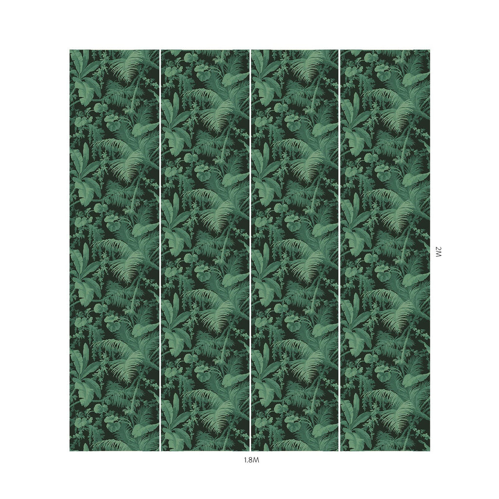 PAMPAS Wallpaper - Noir