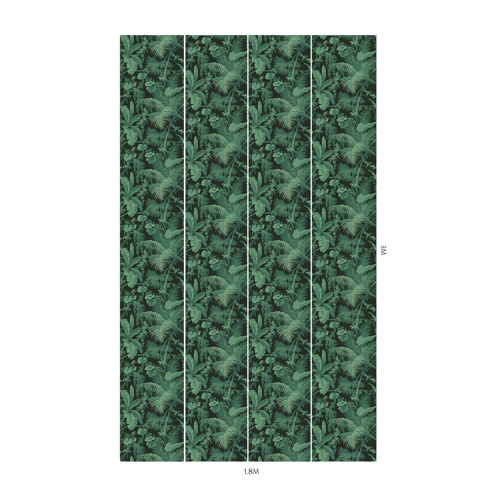 PAMPAS Wallpaper - Noir