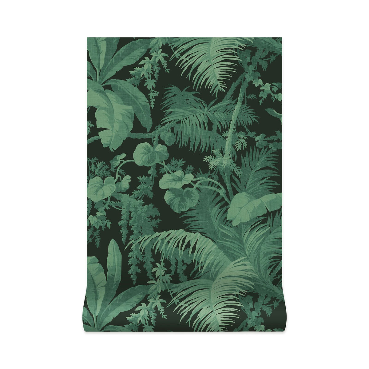 PAMPAS Wallpaper - Noir