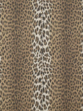 Panthera wallpaper in Sauvage