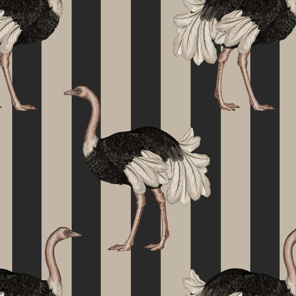 PRIDE Wallpaper - Clay & Off Black
