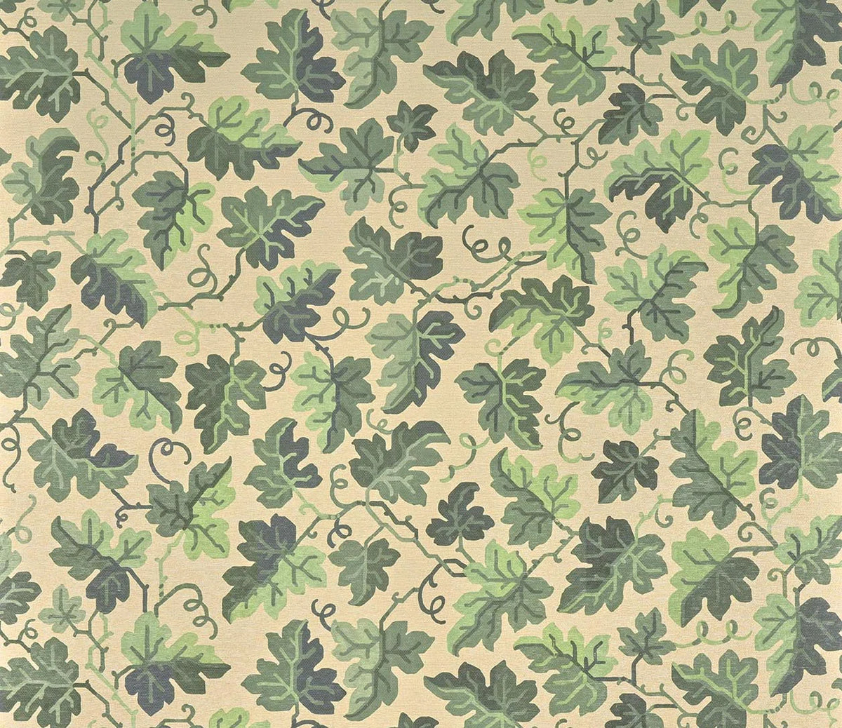Hedera wallpaper in Lichen