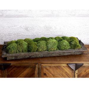 PRESERVED MOSS TRAY