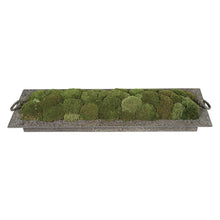 Load image into Gallery viewer, PRESERVED MOSS TRAY