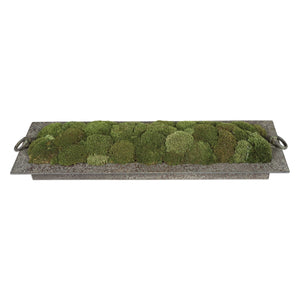 PRESERVED MOSS TRAY