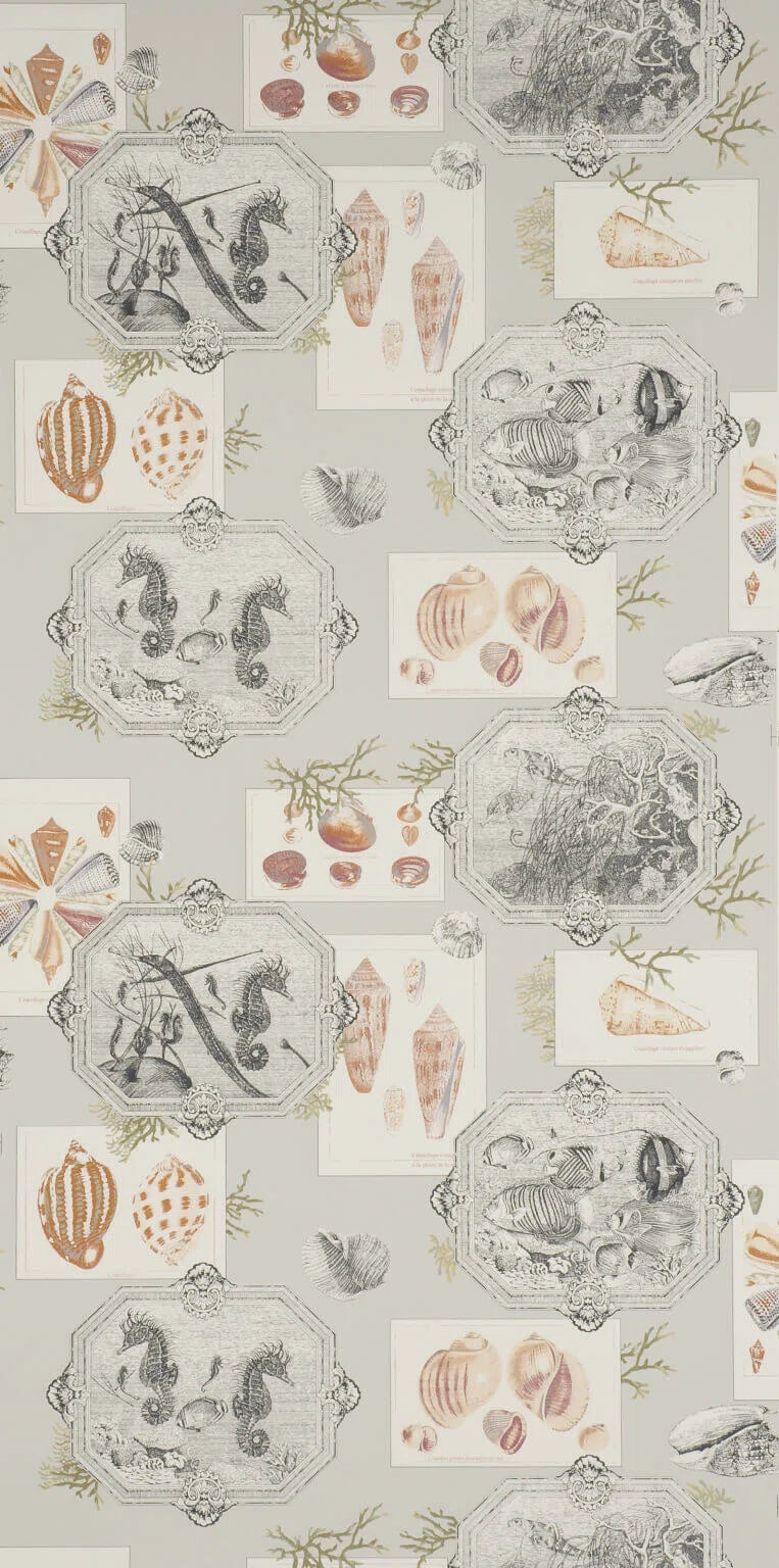 Aquarius wallpaper in Stone