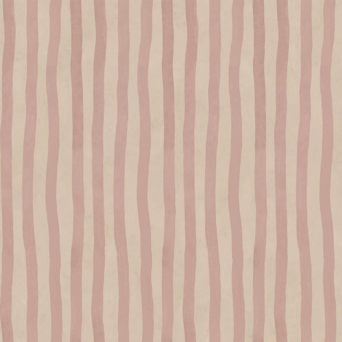 ARTIST'S STRIPE Wallpaper - Sakura & Astrantia