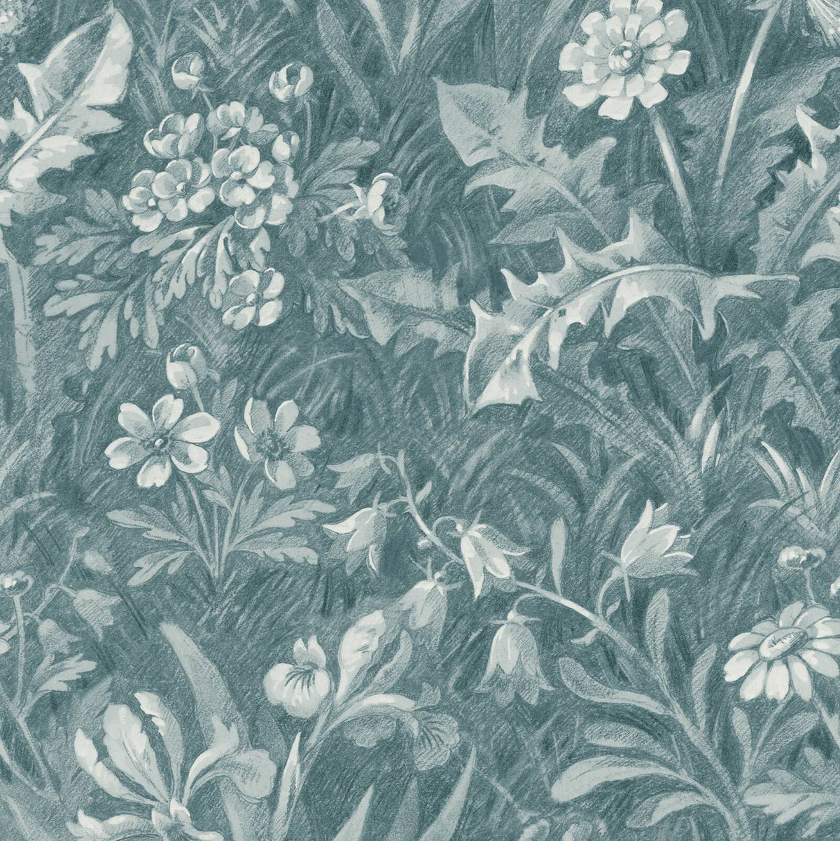 BELTANE Wallpaper - Euphorbia
