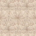 TARAXA  Wallpaper - Phlox
