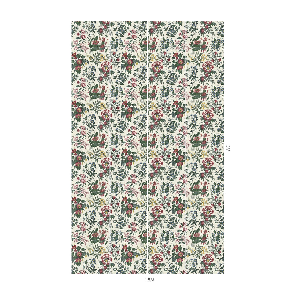 LODDIGES Wallpaper - Achillea
