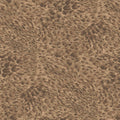 FERUS Wallpaper - Alabaster