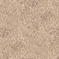 FERUS Wallpaper - Astrantia