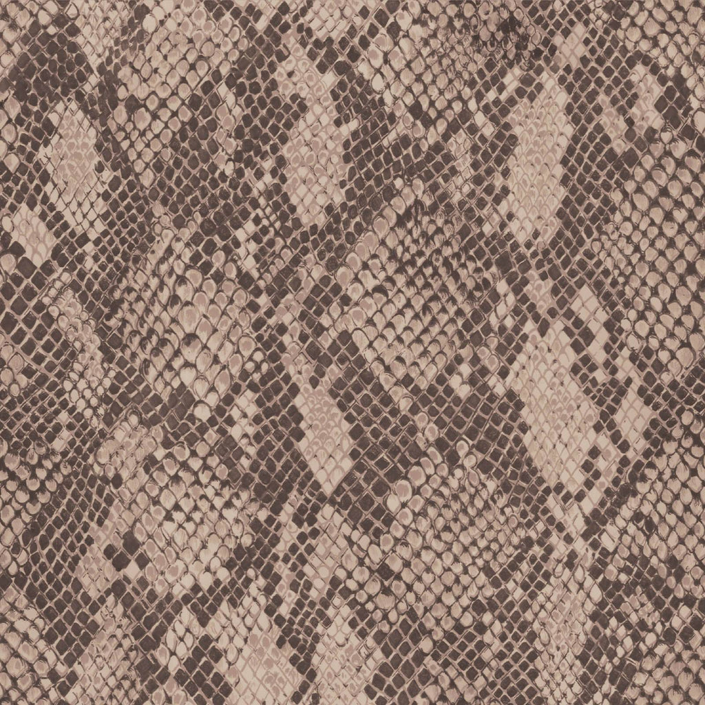 COBRA Wallpaper - Earth