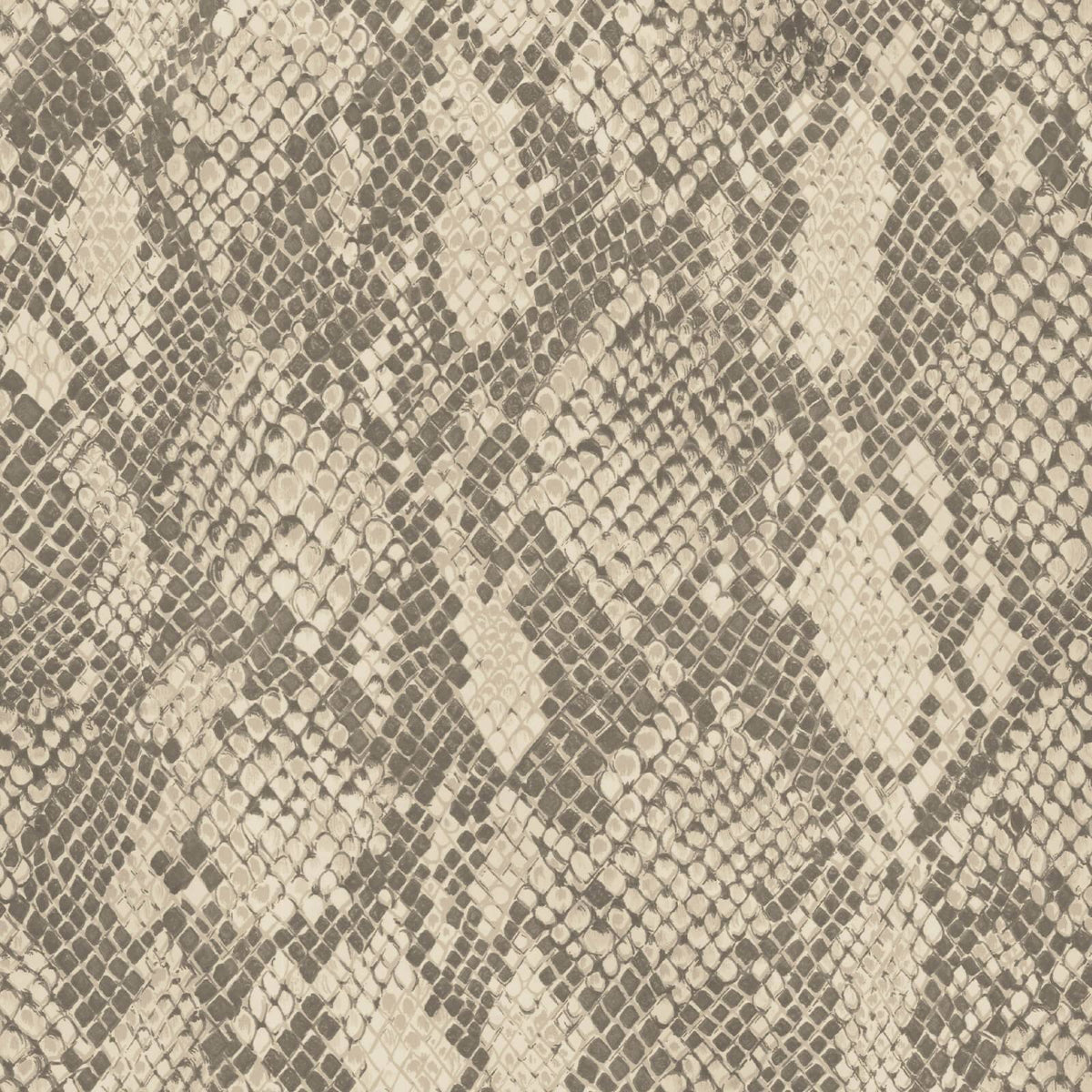 COBRA Wallpaper - Phlox