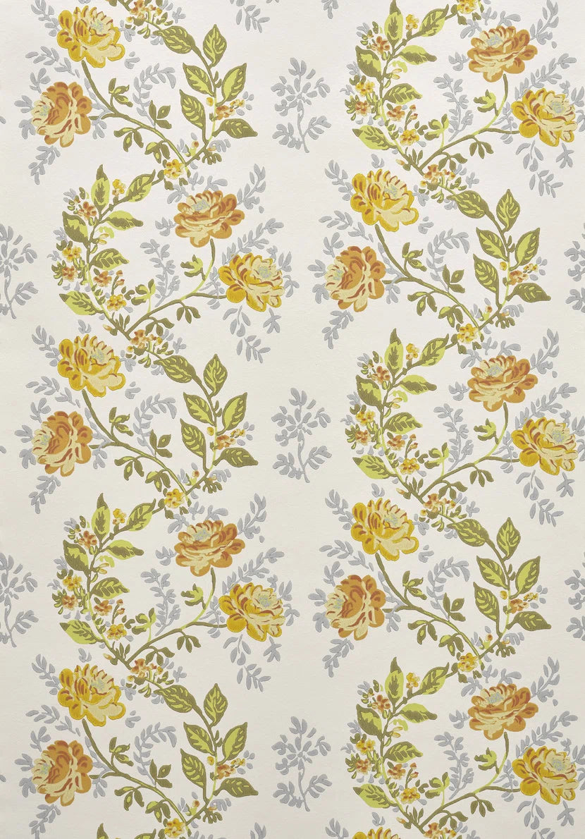 Rosa wallpaper in ABRICOT