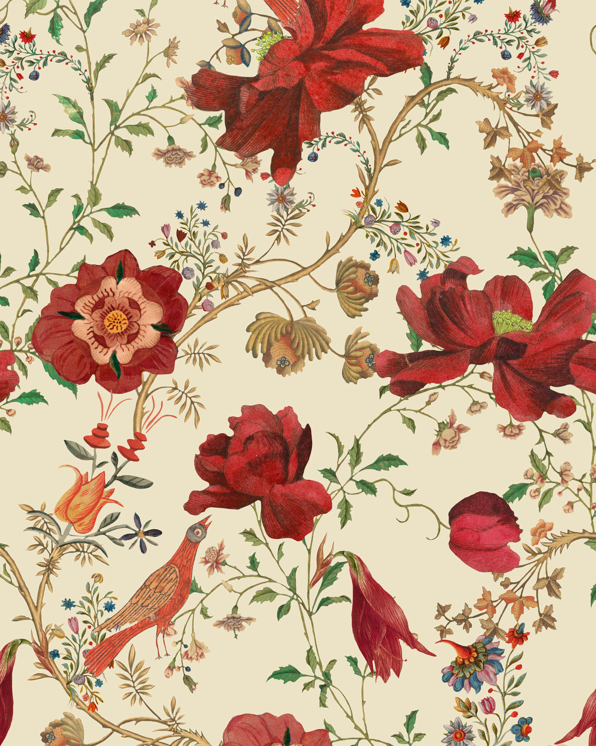 TRANSSILVANIAE FLORILEGIUM WALLPAPER