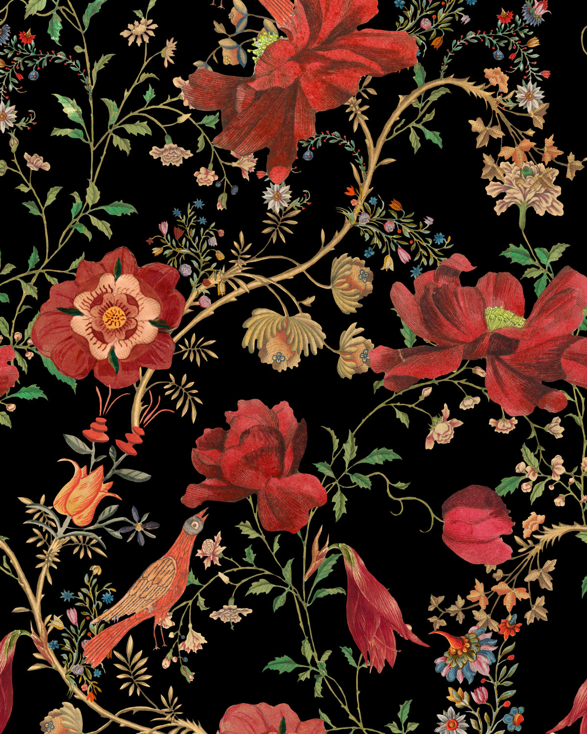 TRANSSILVANIAE FLORILEGIUM WALLPAPER