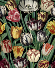 Load image into Gallery viewer, TULIPA WALLPAPER