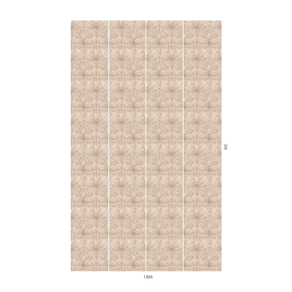 TARAXA  Wallpaper - Phlox